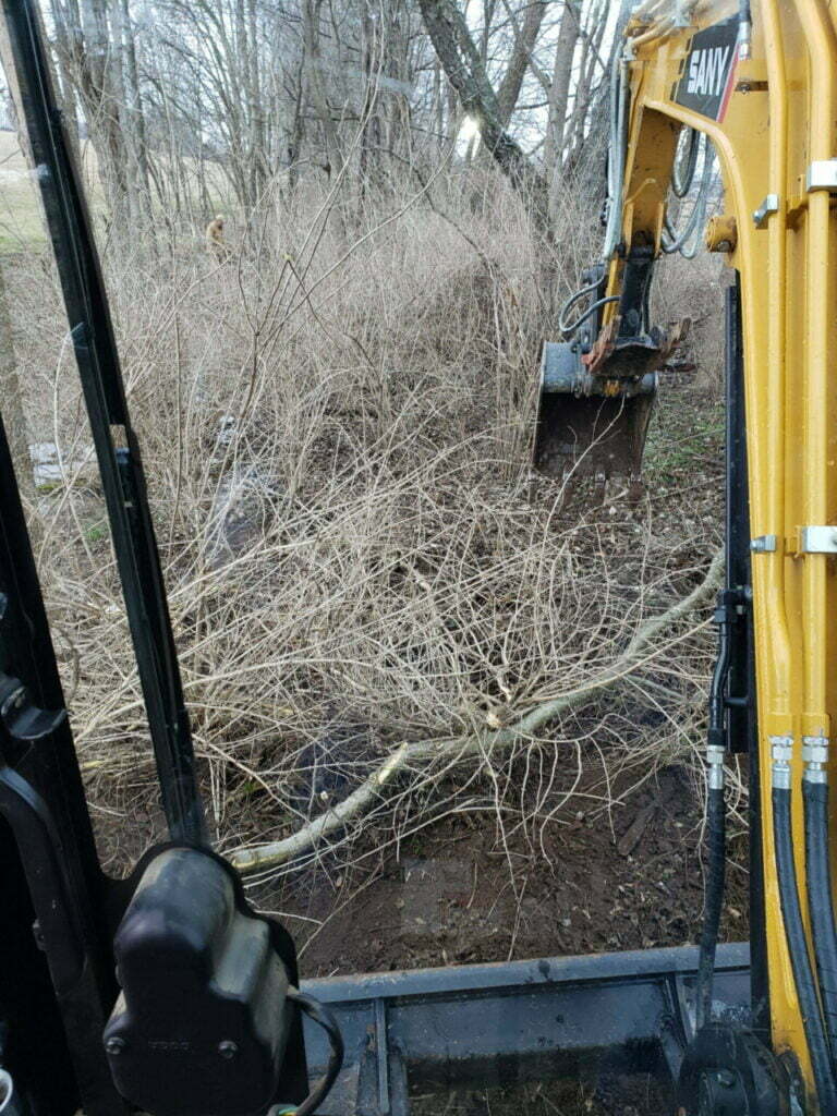 land clearing, lot clearing, excavation